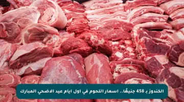 الكندوز بـ 458 جنيهًا.. أسعار اللحوم في أول أيام عيد الأضحى المبارك